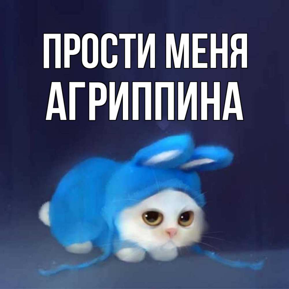Открытка на каждый день с именем, Агриппина Прости меня невинный котозай просит прощения Прикольная открытка с пожеланием онлайн скачать бесплатно 