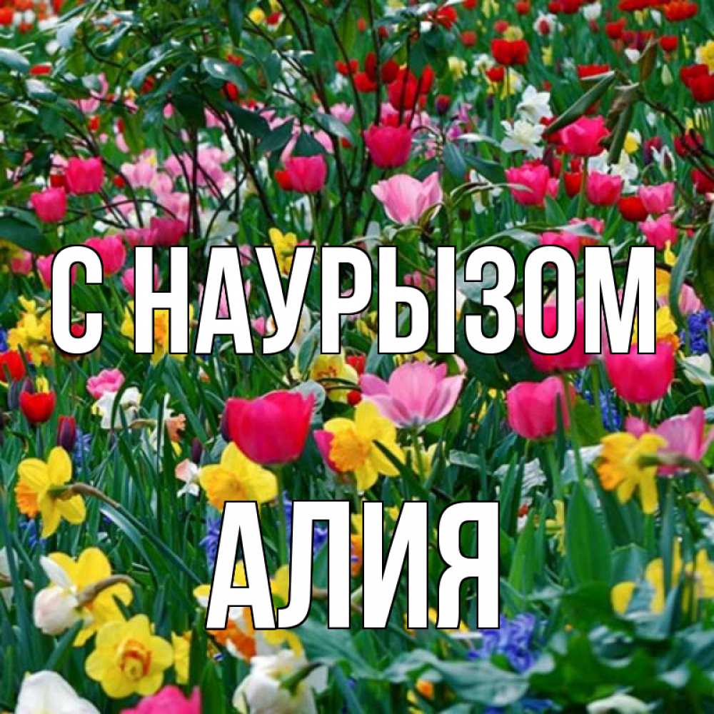 Открытка на каждый день с именем, Алия С наурызом с наурызом праздником весны поздравления для женщины Прикольная открытка с пожеланием онлайн скачать бесплатно 
