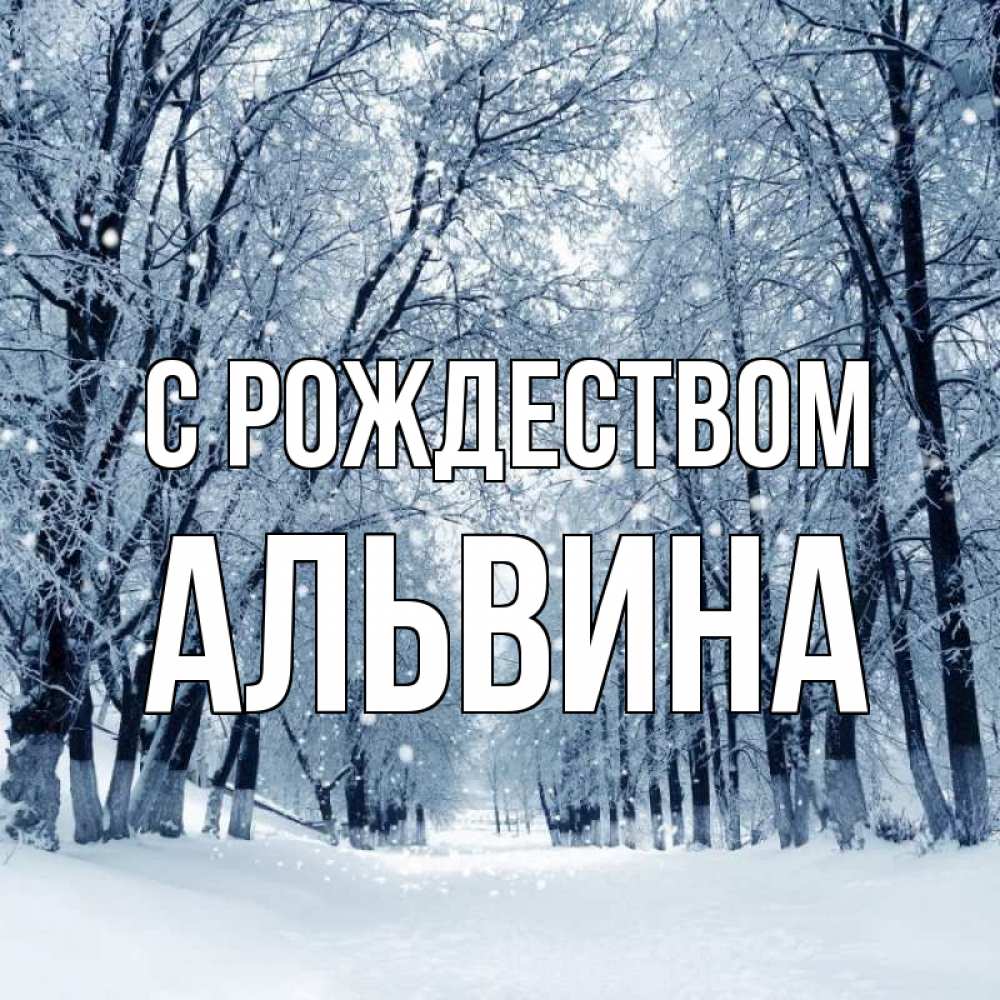 Открытка на каждый день с именем, Альвина С рождеством снег, лес, парк Прикольная открытка с пожеланием онлайн скачать бесплатно 