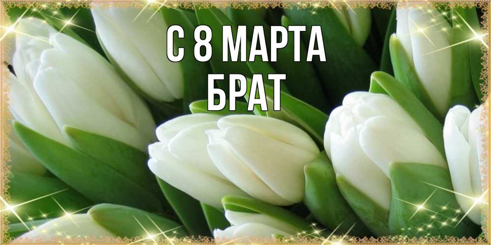 Открытка на каждый день с именем, Брат С 8 МАРТА поздравляем с 8 марта Прикольная открытка с пожеланием онлайн скачать бесплатно 