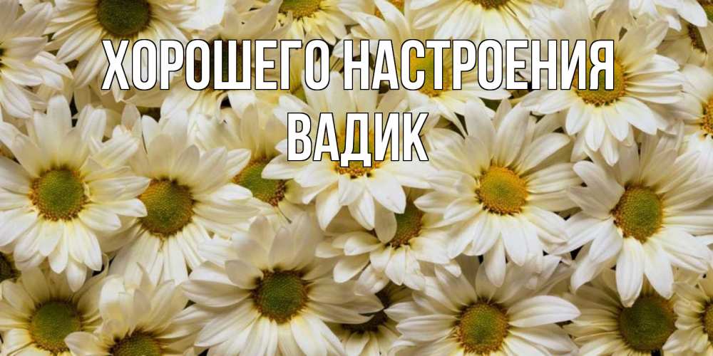 Открытка на каждый день с именем, Вадик Хорошего настроения крупные ромашки Прикольная открытка с пожеланием онлайн скачать бесплатно 