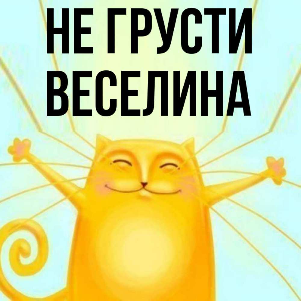 Открытка на каждый день с именем, Веселина Не грусти обнимашки усатые Прикольная открытка с пожеланием онлайн скачать бесплатно 