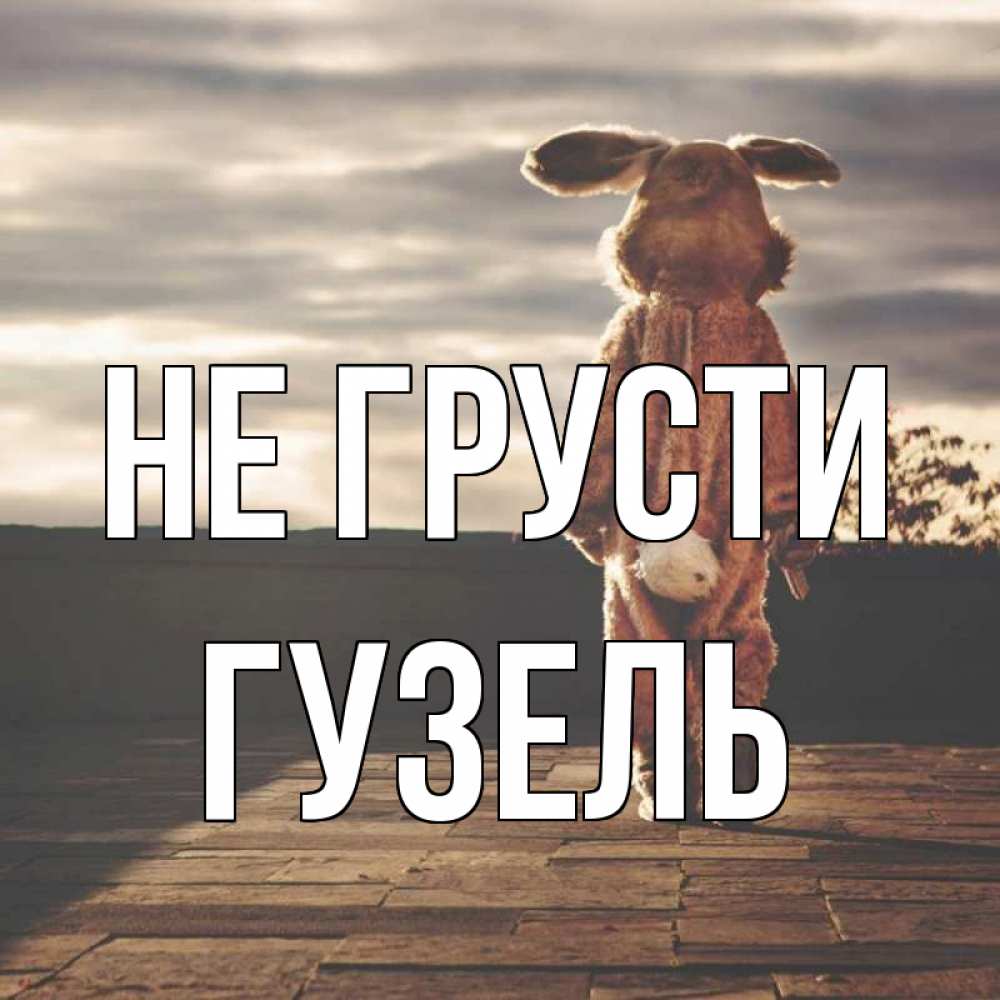 Открытка на каждый день с именем, Гузель Не грусти со спины Прикольная открытка с пожеланием онлайн скачать бесплатно 