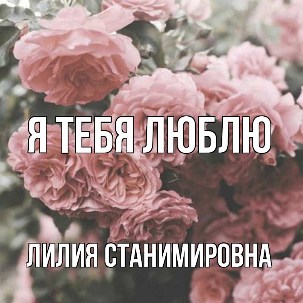 Открытка на каждый день с именем, Лилия-Станимировна Я тебя люблю розы 3 Прикольная открытка с пожеланием онлайн скачать бесплатно 