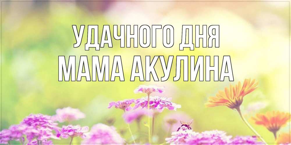 Открытка на каждый день с именем, Мама-Акулина Удачного дня красивая открытка с летней темой Прикольная открытка с пожеланием онлайн скачать бесплатно 