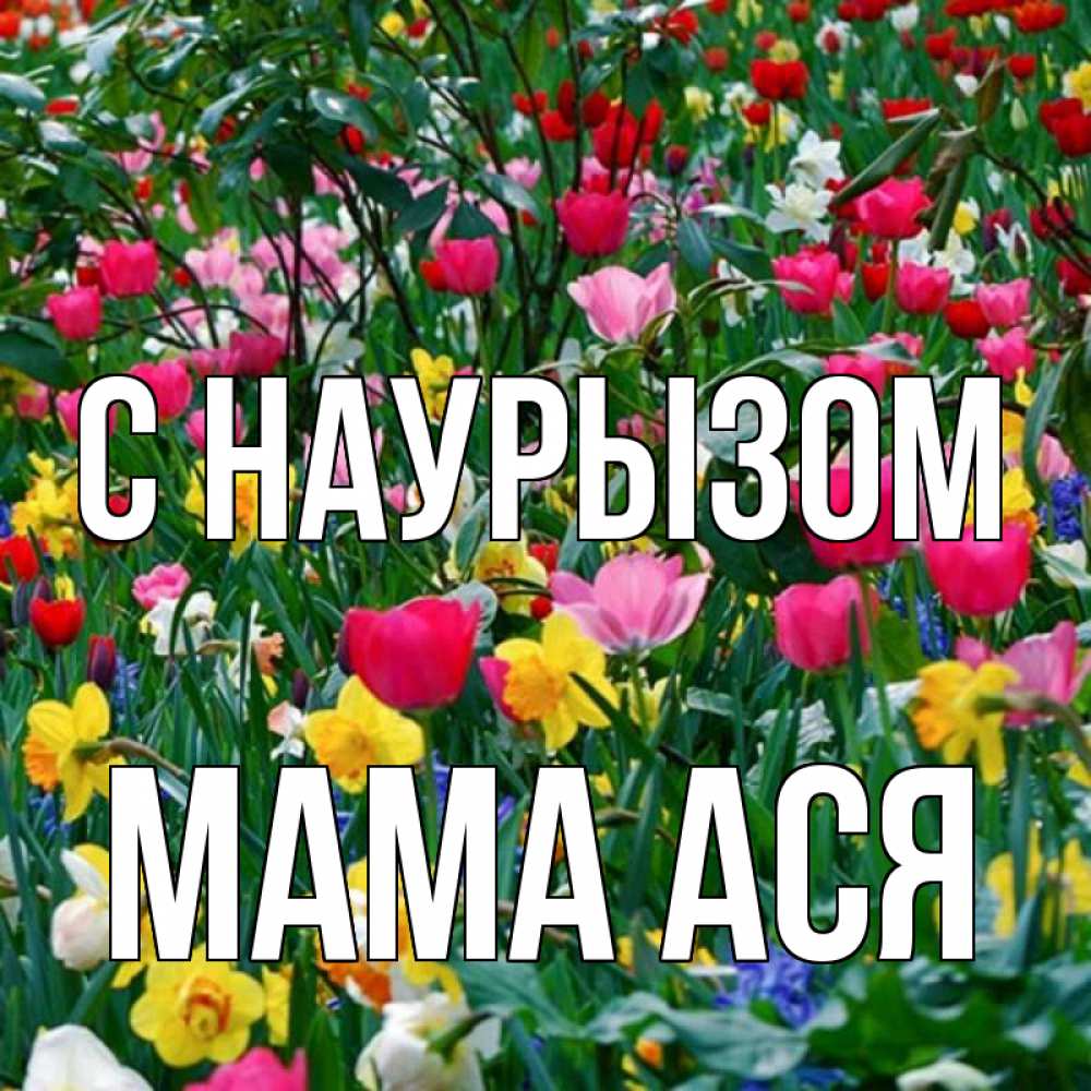 Открытка на каждый день с именем, Мама-Ася С наурызом с наурызом праздником весны поздравления для женщины Прикольная открытка с пожеланием онлайн скачать бесплатно 