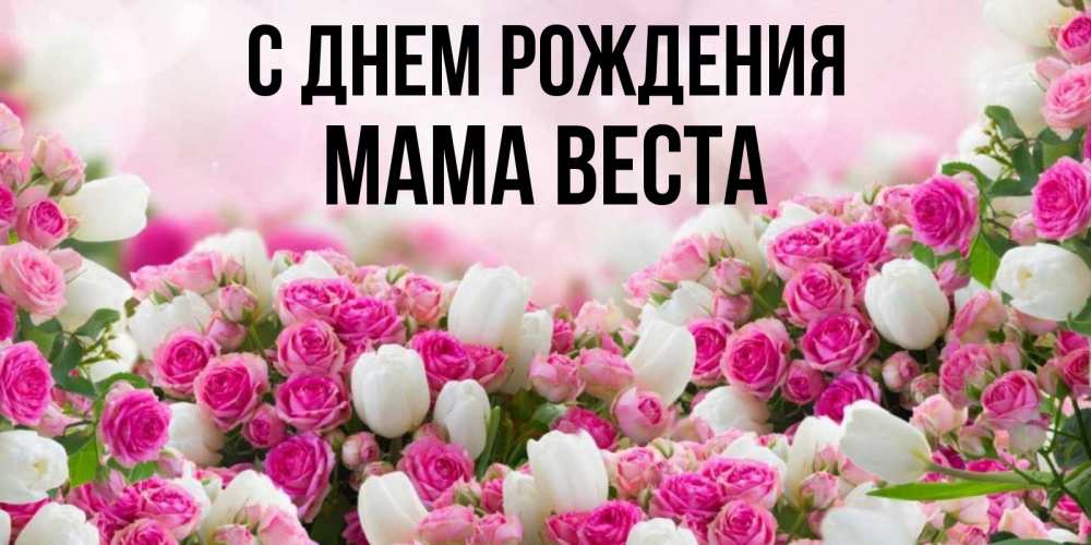 Открытка на каждый день с именем, Мама-Веста С днем рождения открытка с разными розами Прикольная открытка с пожеланием онлайн скачать бесплатно 