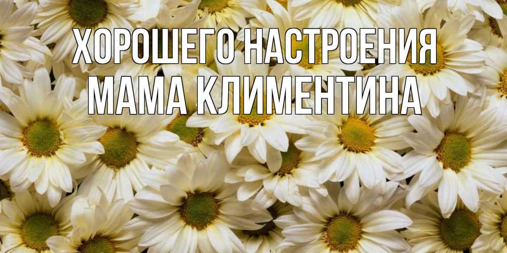 Открытка на каждый день с именем, Мама-Климентина Хорошего настроения крупные ромашки Прикольная открытка с пожеланием онлайн скачать бесплатно 
