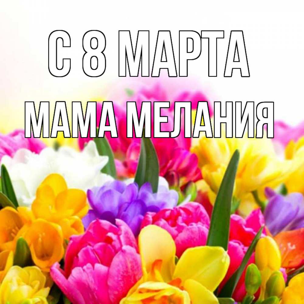 Открытка на каждый день с именем, Мама-Мелания С 8 МАРТА тюльпаны Прикольная открытка с пожеланием онлайн скачать бесплатно 