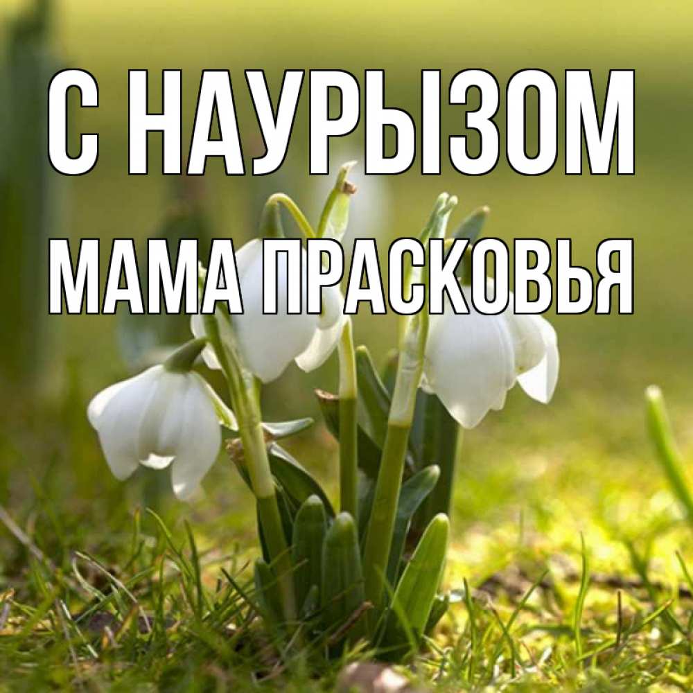 Открытка на каждый день с именем, Мама-Прасковья С наурызом ранние цветы 2 Прикольная открытка с пожеланием онлайн скачать бесплатно 