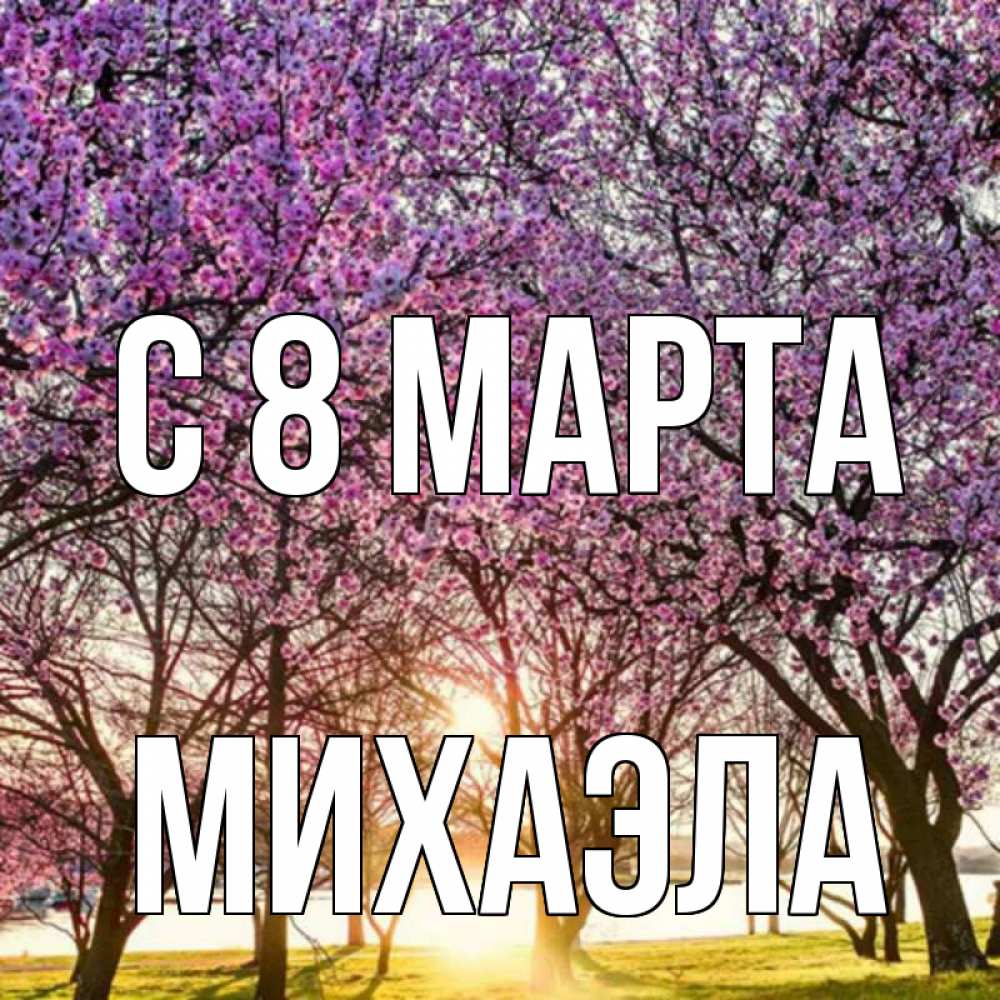 Открытка на каждый день с именем, Михаэла С 8 МАРТА международный женский день Прикольная открытка с пожеланием онлайн скачать бесплатно 
