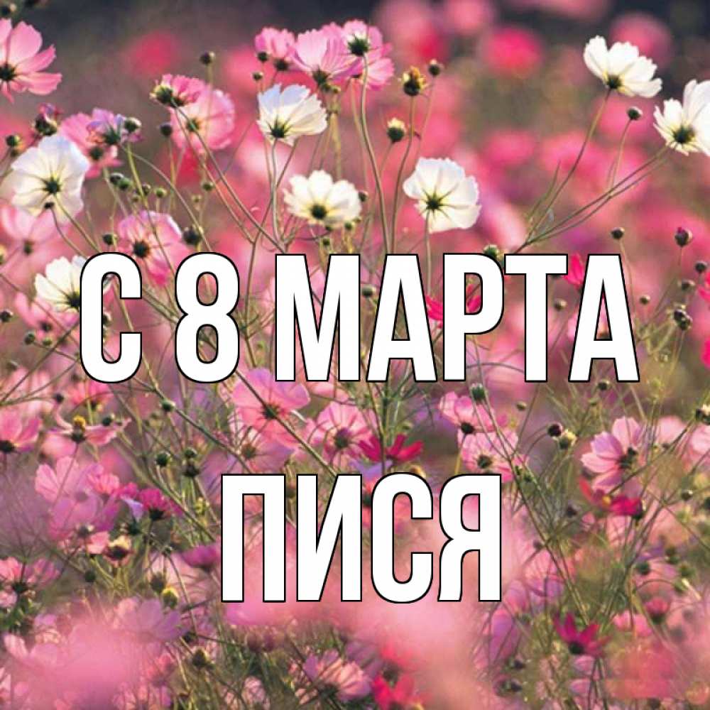 Открытка на каждый день с именем, Пися С 8 марта красиво 1 Прикольная открытка с пожеланием онлайн скачать бесплатно 