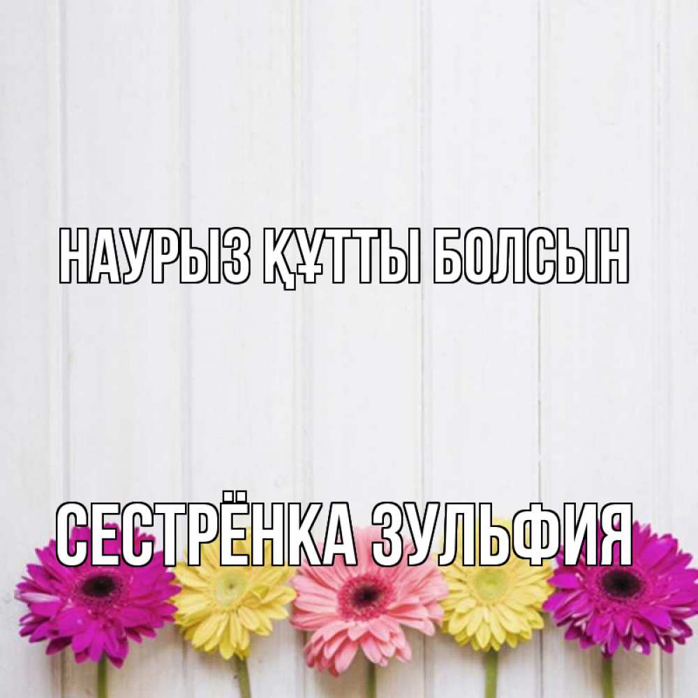 Открытка на каждый день с именем, Сестрёнка-Зульфия Наурыз құтты болсын женщинам 1 Прикольная открытка с пожеланием онлайн скачать бесплатно 