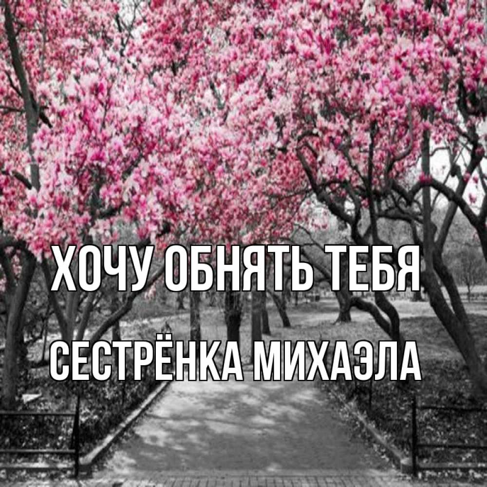 Открытка на каждый день с именем, Сестрёнка-Михаэла Хочу обнять тебя обработанное фото Прикольная открытка с пожеланием онлайн скачать бесплатно 