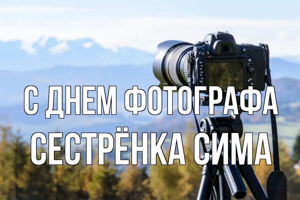 Открытка на каждый день с именем, Сестрёнка-Сима С днем фотографа с днем фотографа Прикольная открытка с пожеланием онлайн скачать бесплатно 