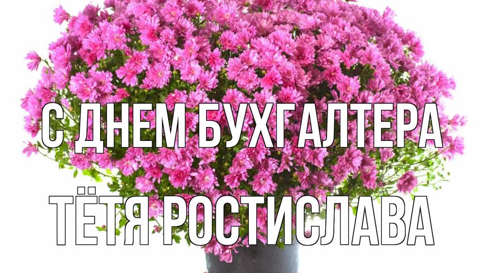 Открытка на каждый день с именем, Тётя-Ростислава С днем бухгалтера с днем бухгалтера Прикольная открытка с пожеланием онлайн скачать бесплатно 