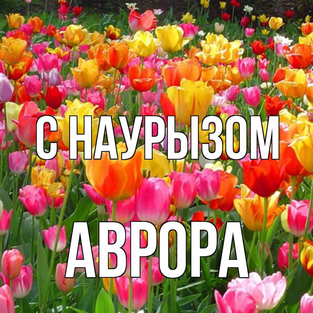 Открытка на каждый день с именем, Аврора С наурызом праздник весны наурыз 4 Прикольная открытка с пожеланием онлайн скачать бесплатно 