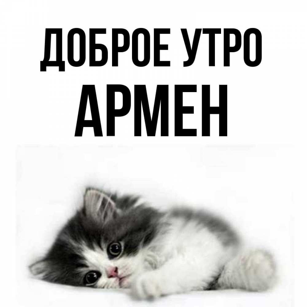 Открытка на каждый день с именем, Армен Доброе утро кот лапки Прикольная открытка с пожеланием онлайн скачать бесплатно 