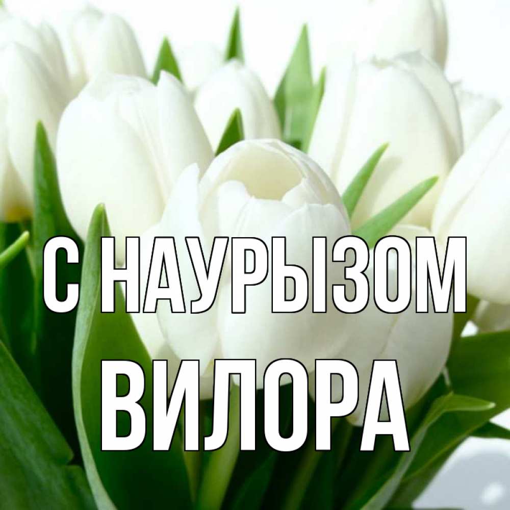 Открытка на каждый день с именем, Вилора С наурызом цветы Прикольная открытка с пожеланием онлайн скачать бесплатно 