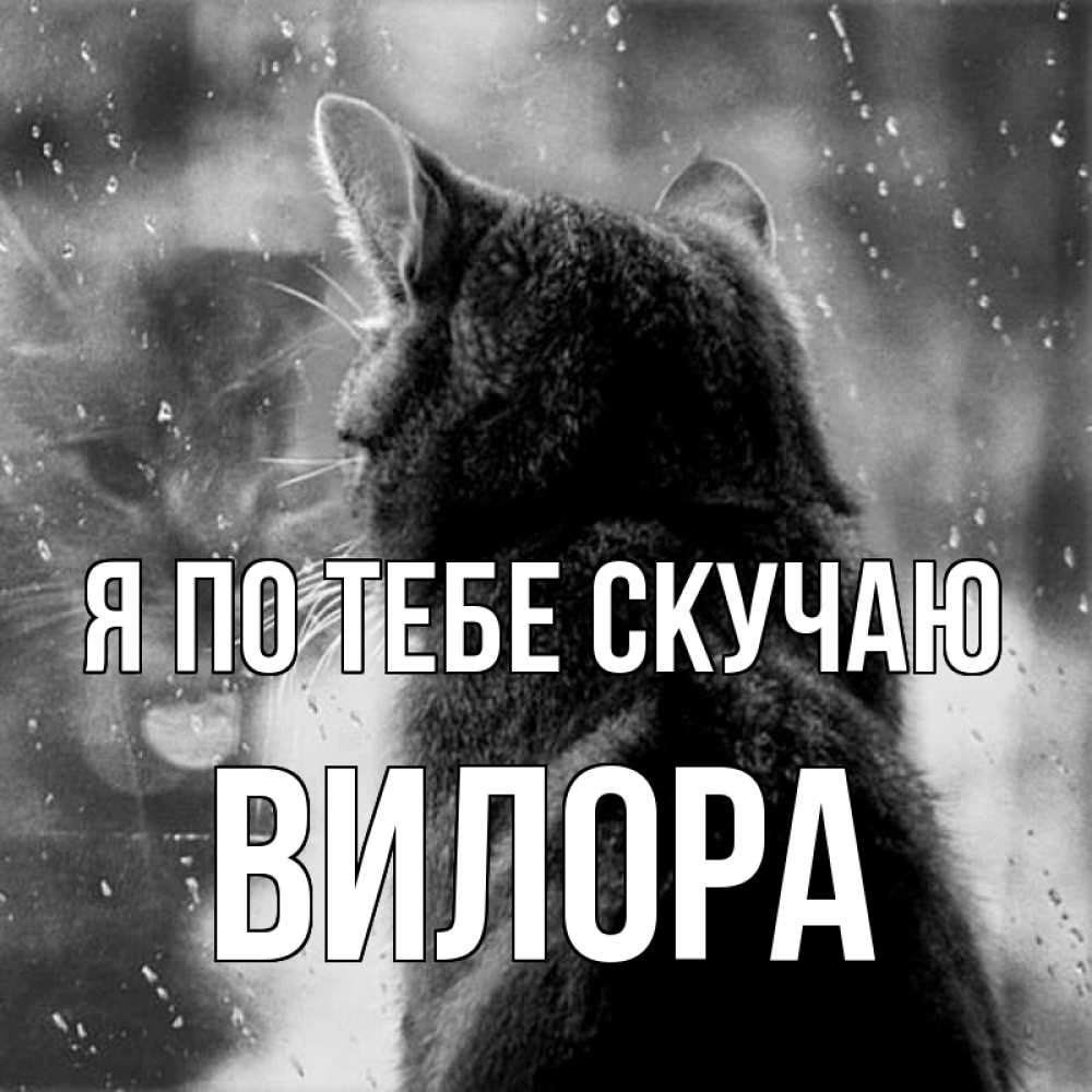 Открытка на каждый день с именем, Вилора Я по тебе скучаю скорее ко мне приходи 1 Прикольная открытка с пожеланием онлайн скачать бесплатно 