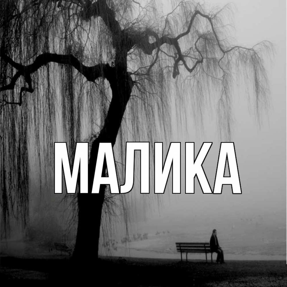 Открытка на каждый день с именем, Малика Главная висящие ветки дерева и лавочка под деревом Прикольная открытка с пожеланием онлайн скачать бесплатно 