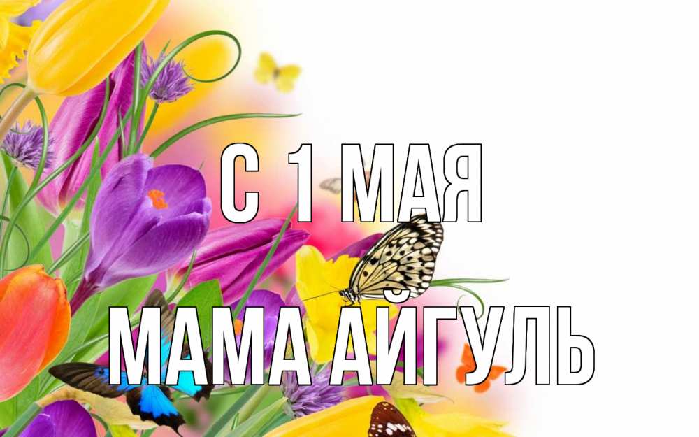 Открытка на каждый день с именем, Мама-Айгуль С 1 мая С 1 мая Прикольная открытка с пожеланием онлайн скачать бесплатно 