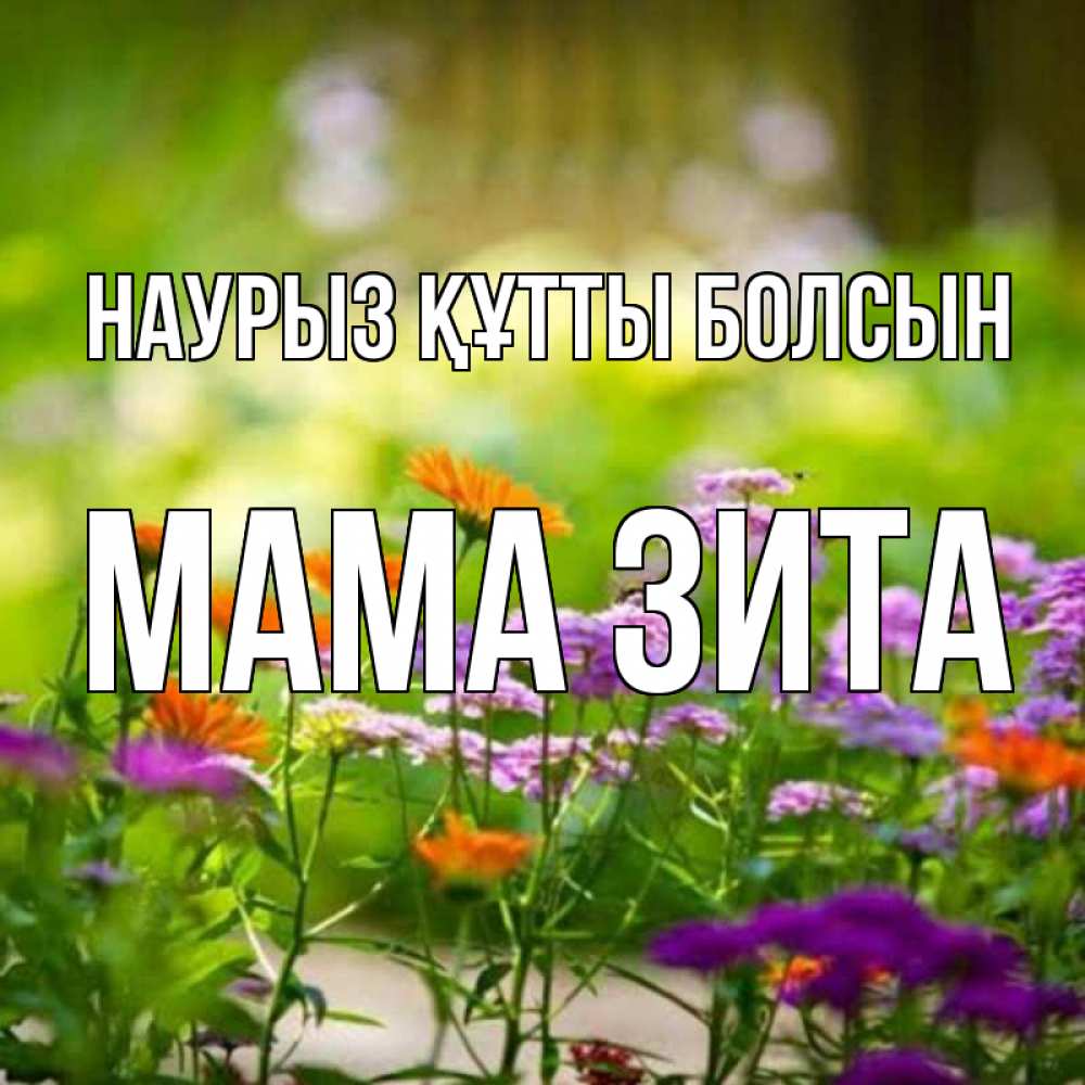 Открытка на каждый день с именем, Мама-Зита Наурыз құтты болсын цветы Прикольная открытка с пожеланием онлайн скачать бесплатно 
