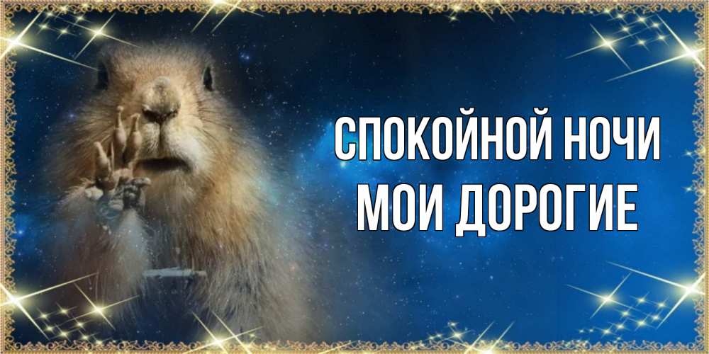 Открытка на каждый день с именем, Мои-дорогие Спокойной ночи спокойной ночи сладких снов Прикольная открытка с пожеланием онлайн скачать бесплатно 