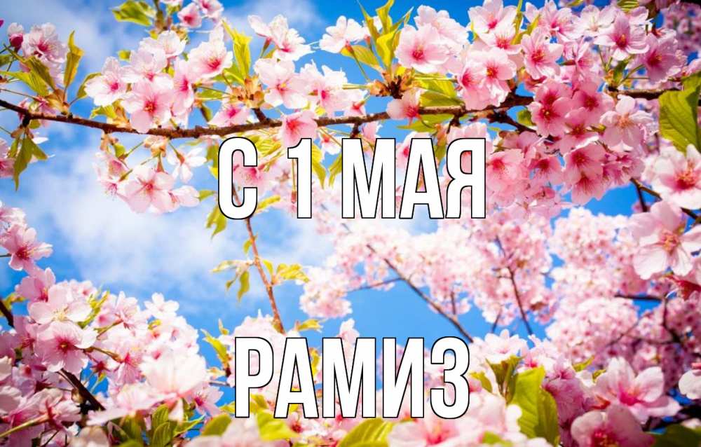 Открытка на каждый день с именем, Рамиз С 1 мая С 1 мая Прикольная открытка с пожеланием онлайн скачать бесплатно 