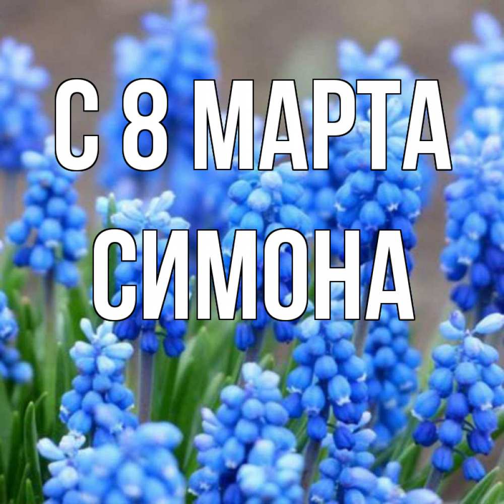 Открытка на каждый день с именем, Симона С 8 марта Поздравительная открытка для женщин с цветами на праздничную дату Прикольная открытка с пожеланием онлайн скачать бесплатно 