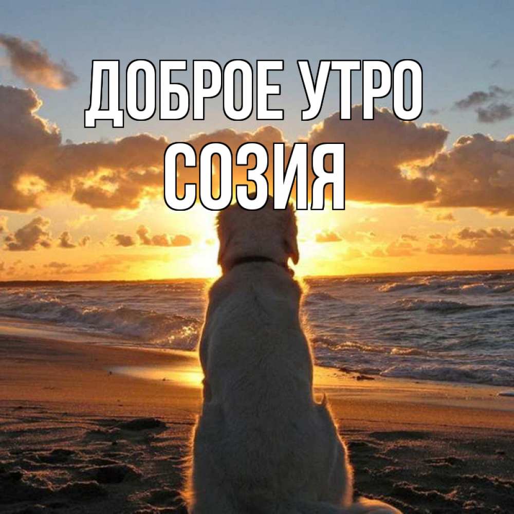 Открытка на каждый день с именем, Созия Доброе утро восход солнца Прикольная открытка с пожеланием онлайн скачать бесплатно 