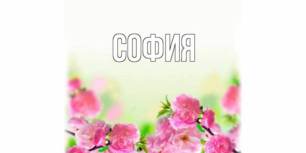 Открытка на каждый день с именем, София Главная цветы Прикольная открытка с пожеланием онлайн скачать бесплатно 