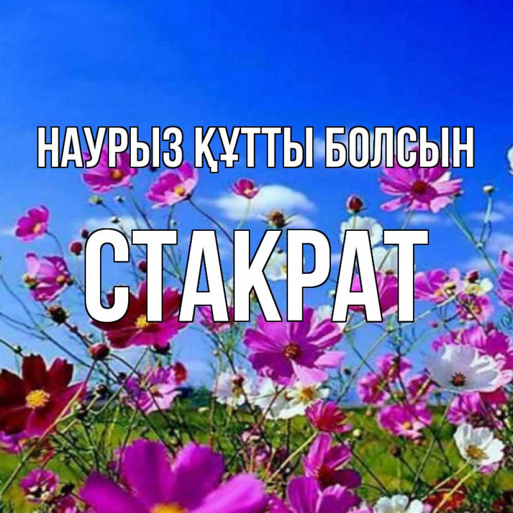 Открытка на каждый день с именем, Стакрат Наурыз құтты болсын цветы Прикольная открытка с пожеланием онлайн скачать бесплатно 