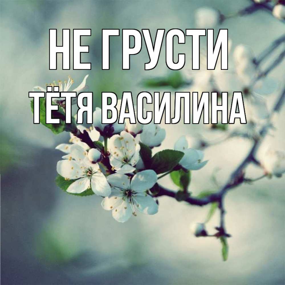 Открытка на каждый день с именем, Тётя-Василина Не грусти яблоня в цвету 1 Прикольная открытка с пожеланием онлайн скачать бесплатно 