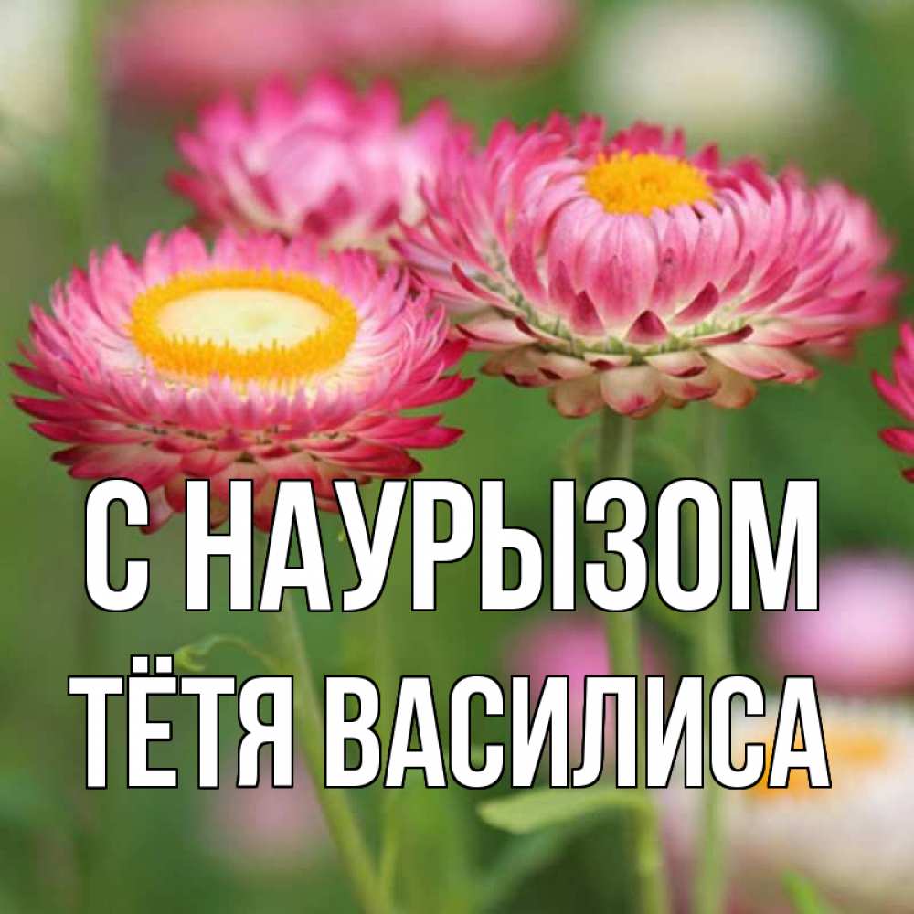 Открытка на каждый день с именем, Тётя-Василиса С наурызом подарок на международный женский день Прикольная открытка с пожеланием онлайн скачать бесплатно 