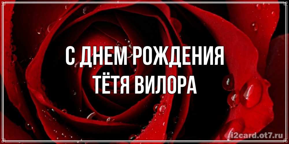 Открытка на каждый день с именем, Тётя-Вилора С днем рождения крупная бордовая роза Прикольная открытка с пожеланием онлайн скачать бесплатно 