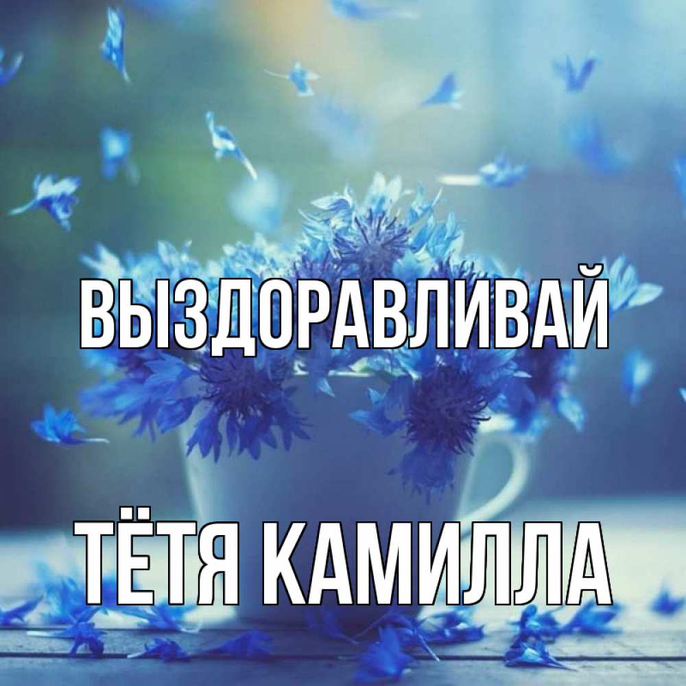 Открытка на каждый день с именем, Тётя-Камилла Выздоравливай кружка с зельем и цветами Прикольная открытка с пожеланием онлайн скачать бесплатно 