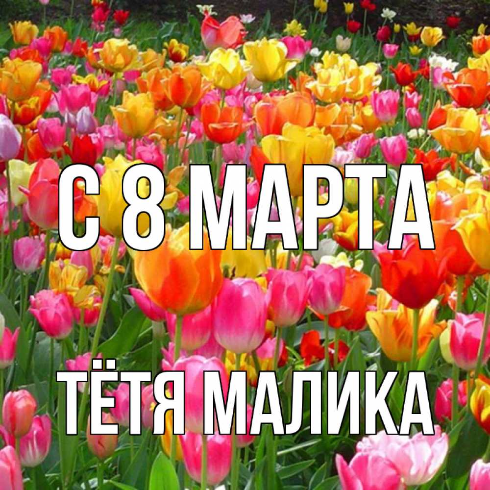 Открытка на каждый день с именем, Тётя-Малика С 8 МАРТА на международный женский день Прикольная открытка с пожеланием онлайн скачать бесплатно 