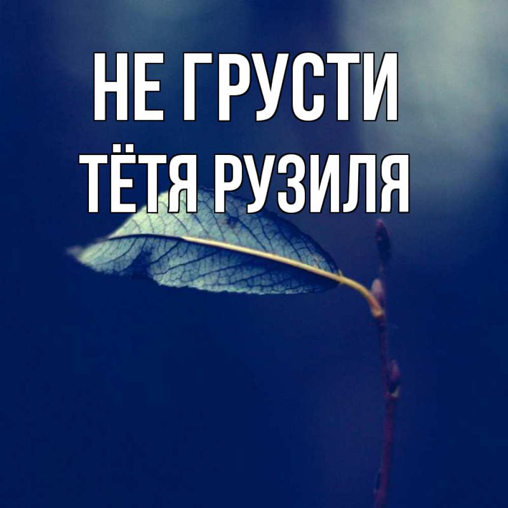 Открытка на каждый день с именем, Тётя-Рузиля Не грусти растение Прикольная открытка с пожеланием онлайн скачать бесплатно 