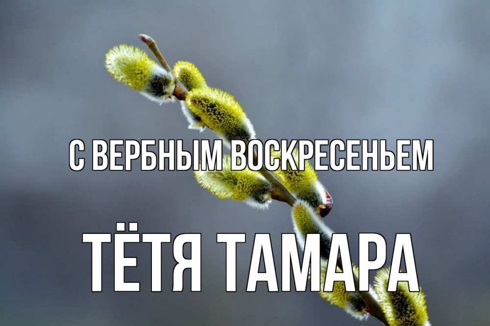 Открытка на каждый день с именем, Тётя-Тамара С вербным воскресеньем верба Прикольная открытка с пожеланием онлайн скачать бесплатно 