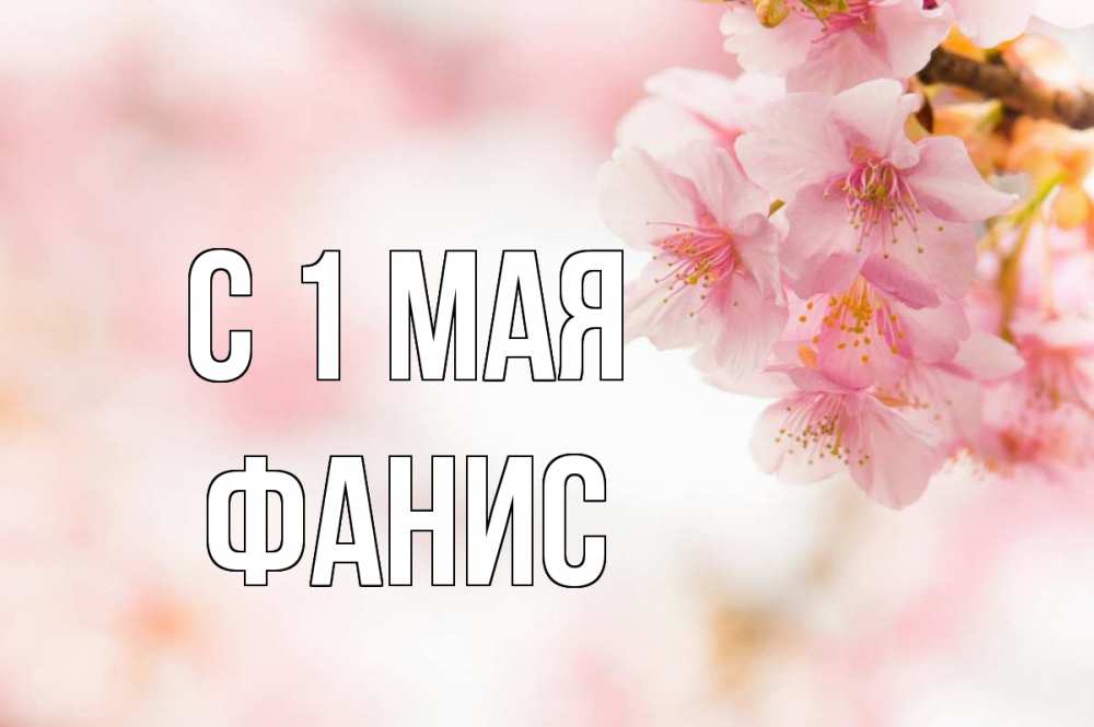 Открытка на каждый день с именем, Фанис С 1 мая С 1 мая Прикольная открытка с пожеланием онлайн скачать бесплатно 