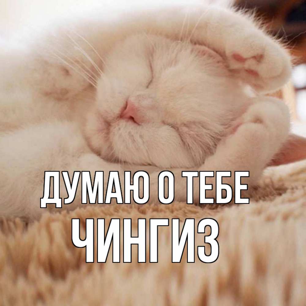 Открытка на каждый день с именем, Чингиз Думаю о тебе для любимой девушки милота Прикольная открытка с пожеланием онлайн скачать бесплатно 