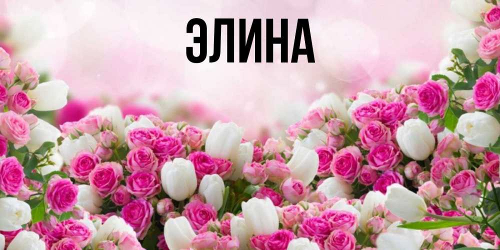 Открытка на каждый день с именем, Элина Главная открытка с разными розами Прикольная открытка с пожеланием онлайн скачать бесплатно 