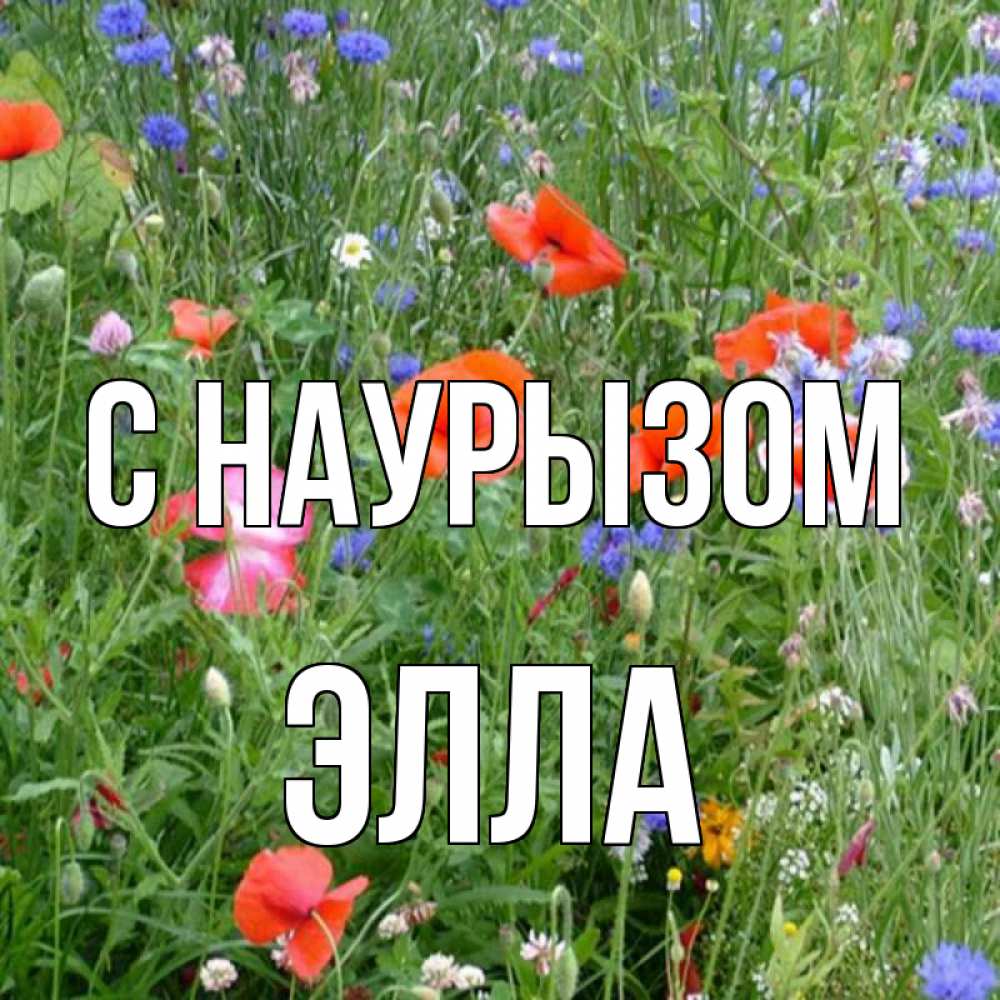 Открытка на каждый день с именем, Элла С наурызом праздник весны наурыз супер открытка Прикольная открытка с пожеланием онлайн скачать бесплатно 