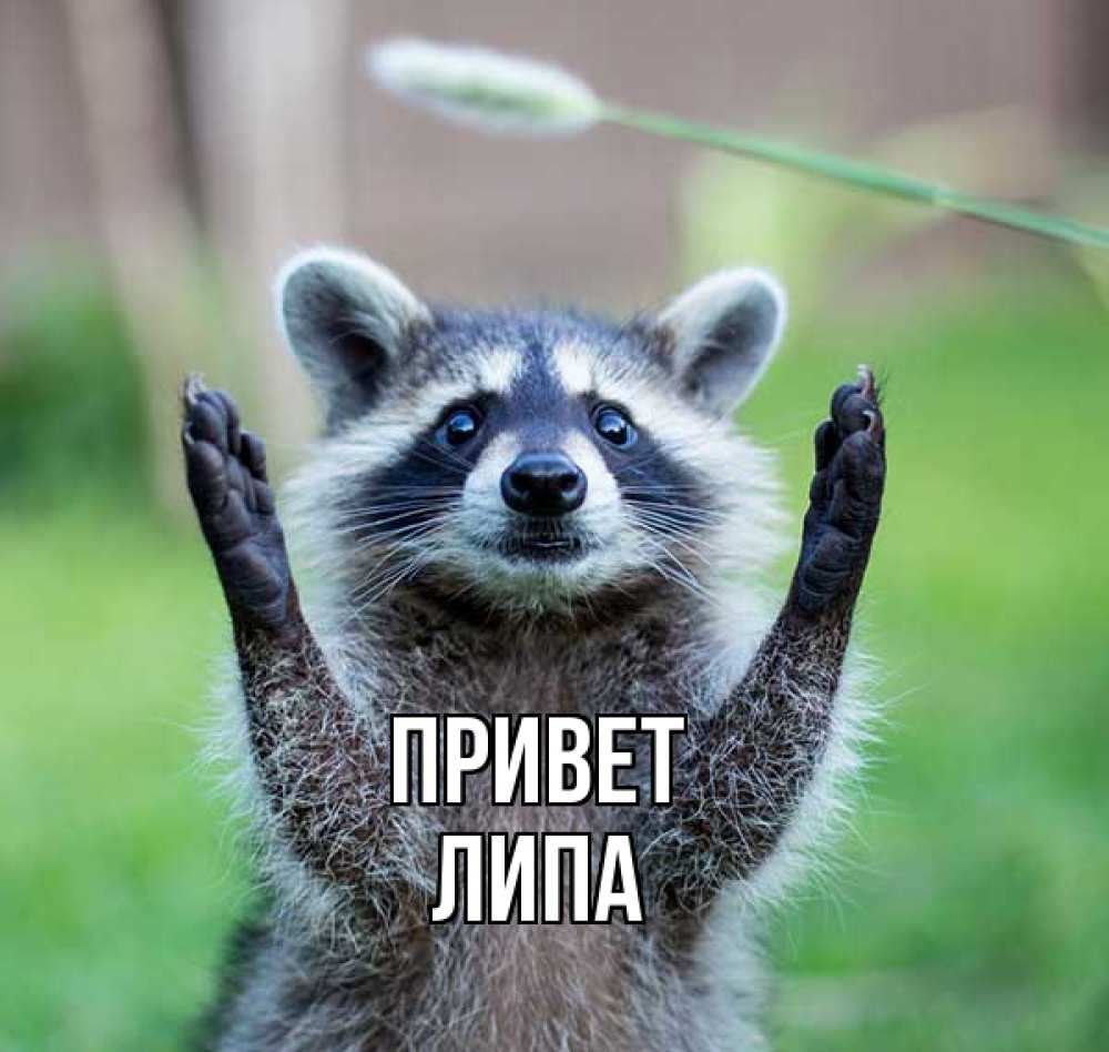 Привет валера картинки