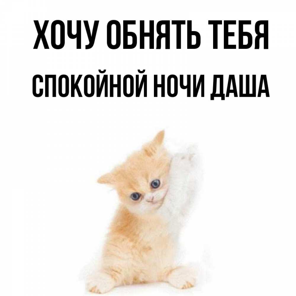 Спокойной ночи дашенька картинки