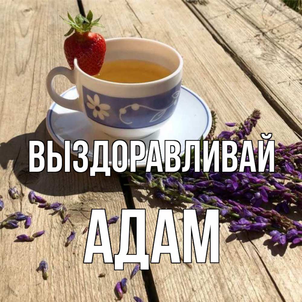 Открытка на каждый день с именем, Адам Выздоравливай чай Прикольная открытка с пожеланием онлайн скачать бесплатно 