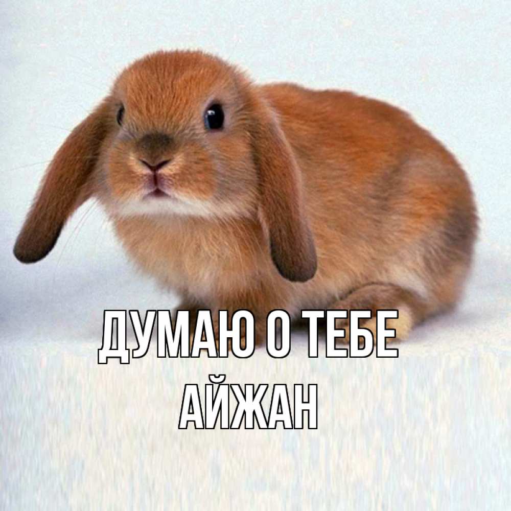 Открытка на каждый день с именем, Айжан Думаю о тебе кроль коричневый Прикольная открытка с пожеланием онлайн скачать бесплатно 