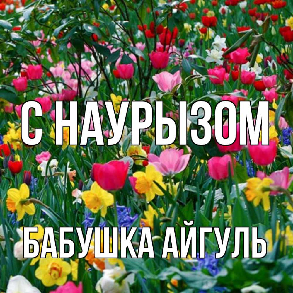 Открытка на каждый день с именем, Бабушка-Айгуль С наурызом с наурызом праздником весны поздравления для женщины Прикольная открытка с пожеланием онлайн скачать бесплатно 