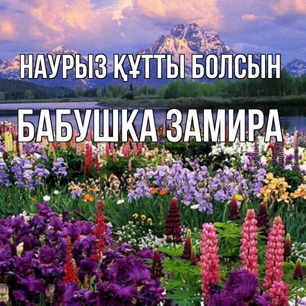 Открытка на каждый день с именем, Бабушка-Замира Наурыз құтты болсын наурыз Прикольная открытка с пожеланием онлайн скачать бесплатно 